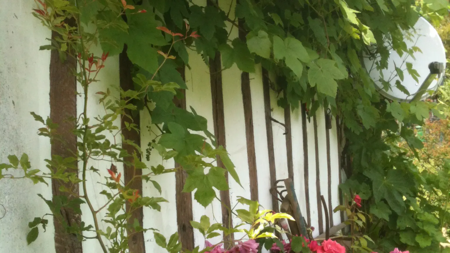 La Maison blanche à Tocqueville en Caux