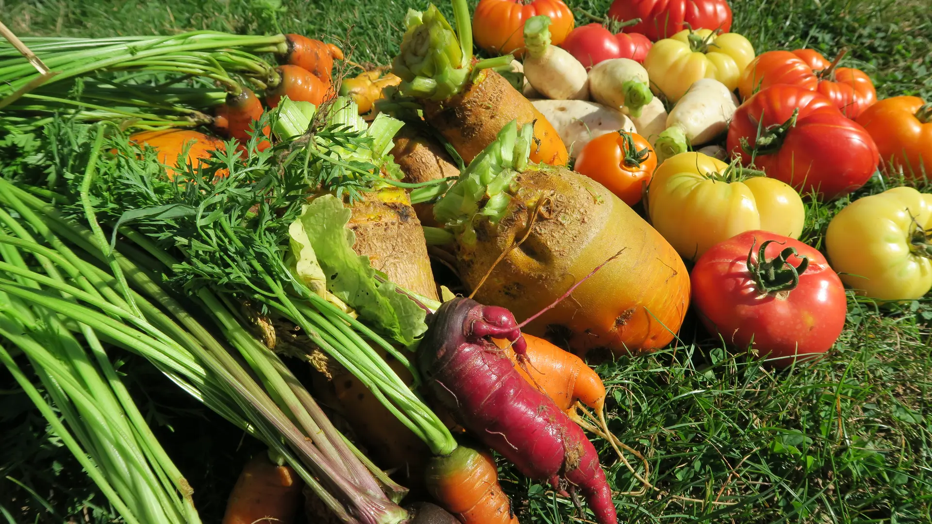 Fruits et légumes - Sotteville-les-Rouen