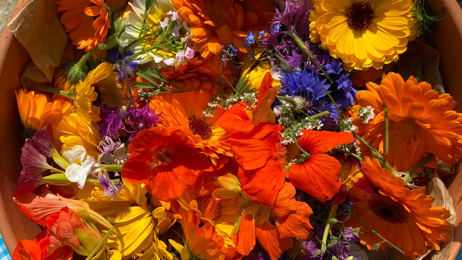Assiette de fleurs