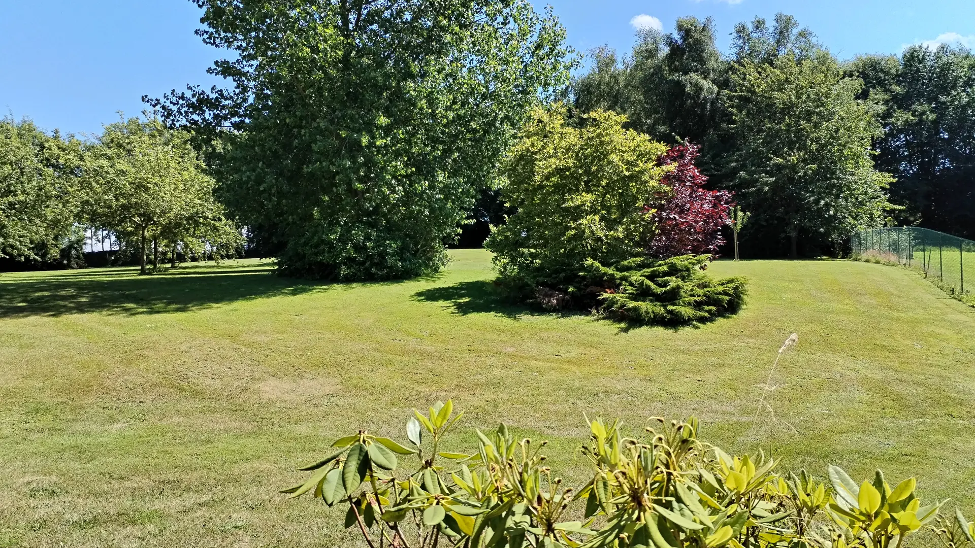Le jardin