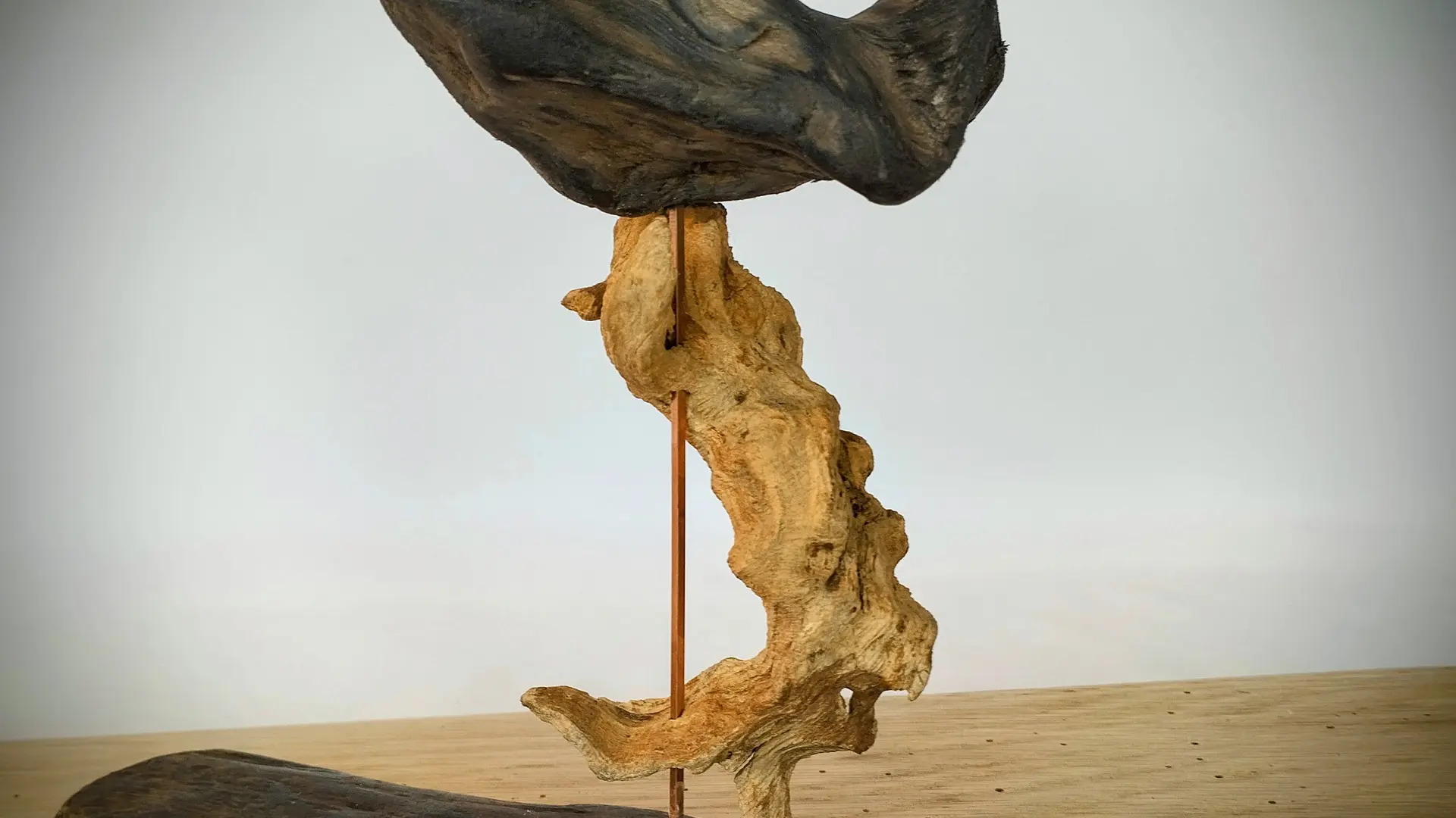 Cantharellus cibarius L'atelier d'Eawy