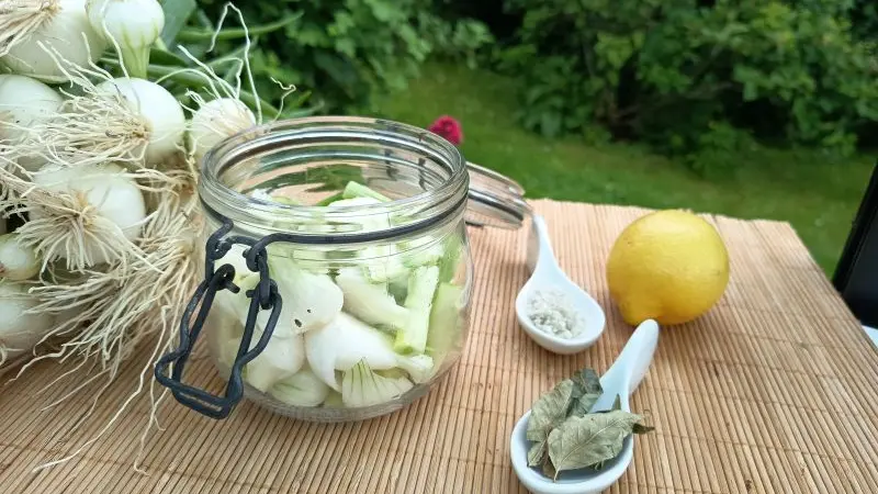 ALYFERM - FECAMP - 2025