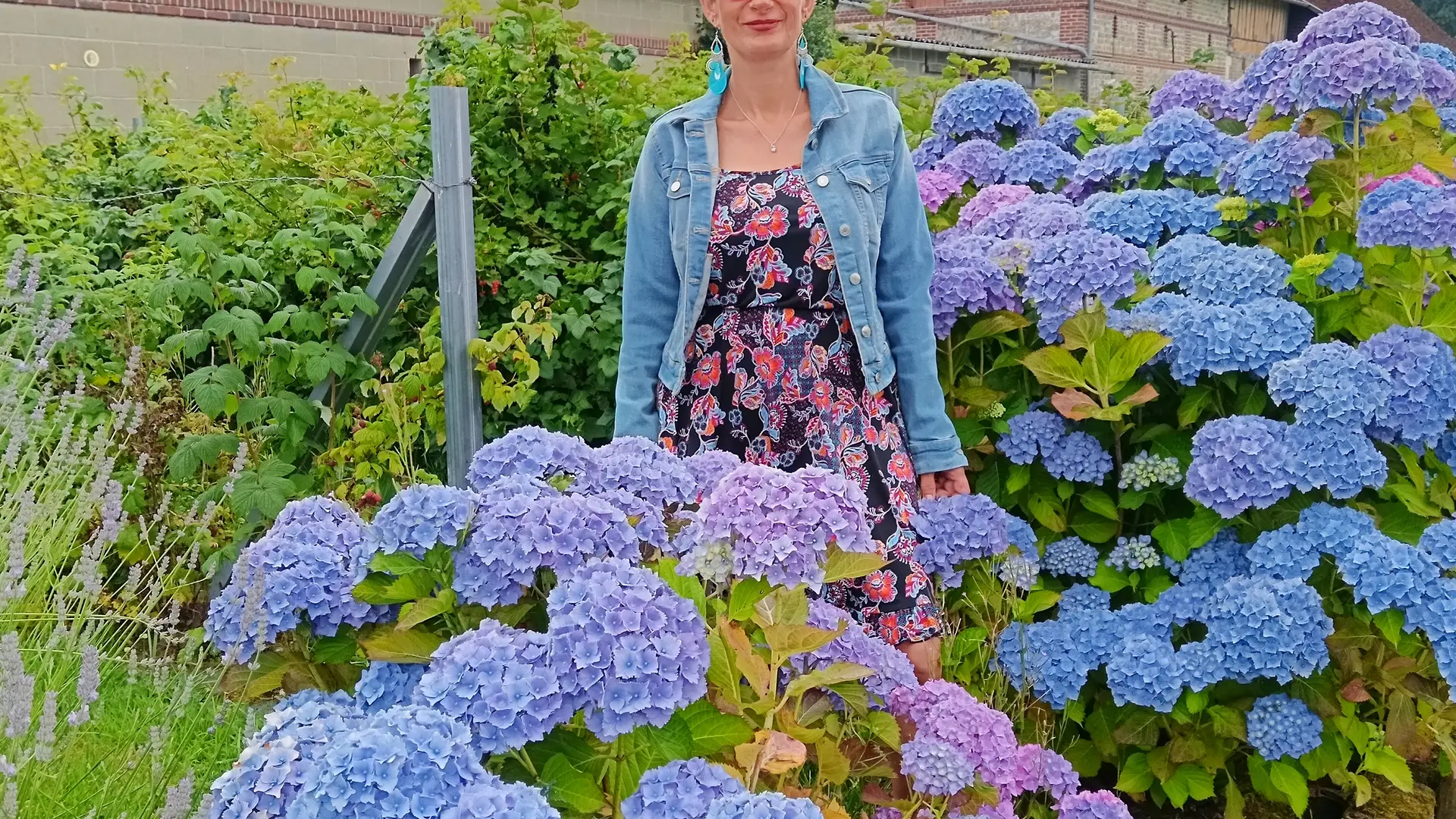 hortensias avec la propriétaire