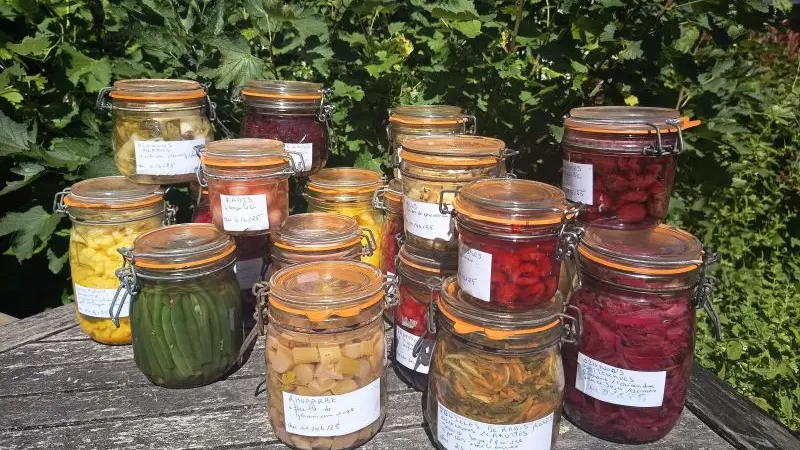 ALYFERM - FECAMP - 2025