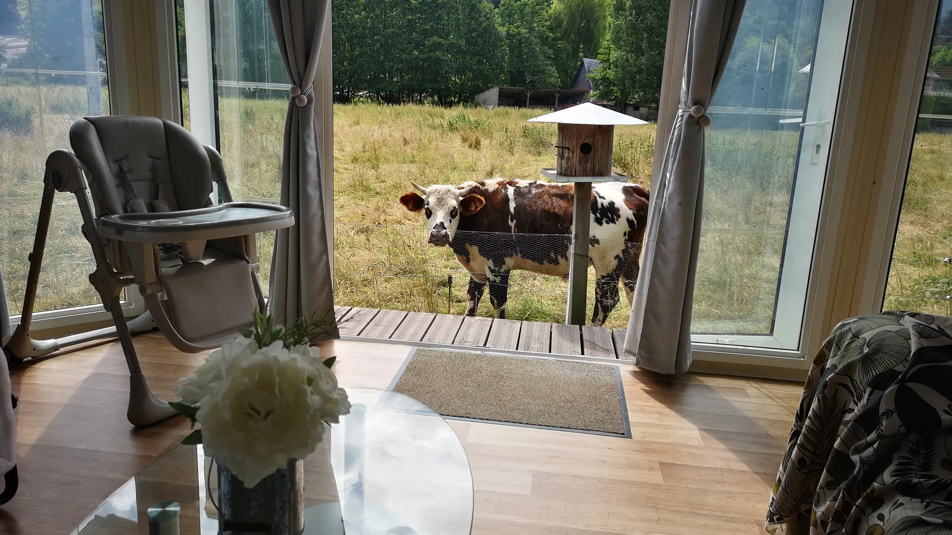 Salon avec vue sur la nature