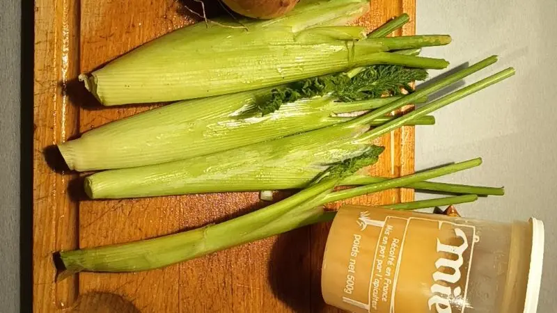 ALYFERM - FECAMP - 2025