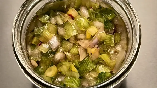 ALYFERM - FECAMP - 2025