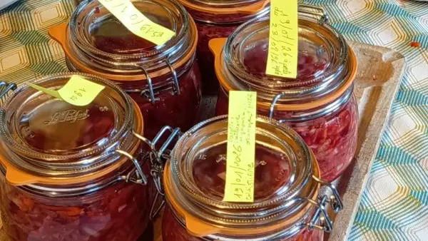 ALYFERM - FECAMP - 2025