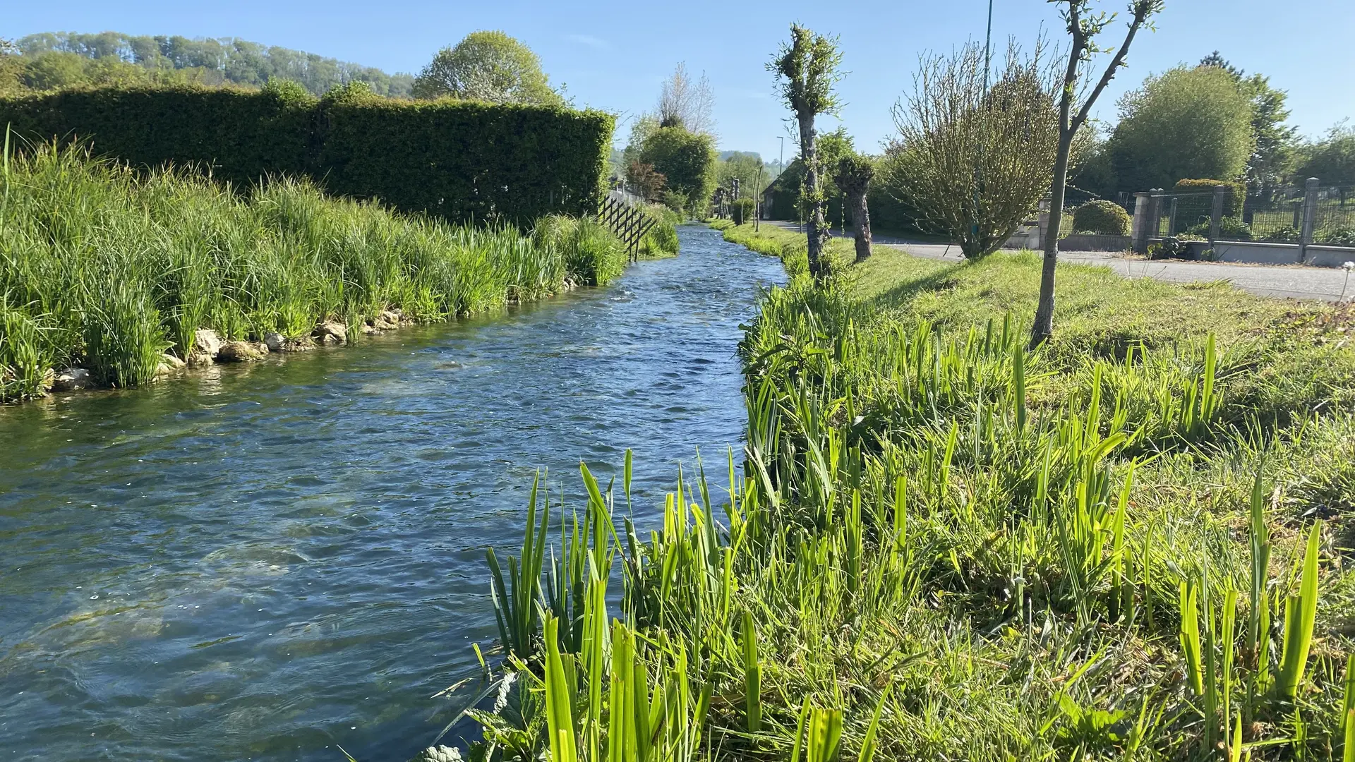 la rivière   Le Bailly Bec