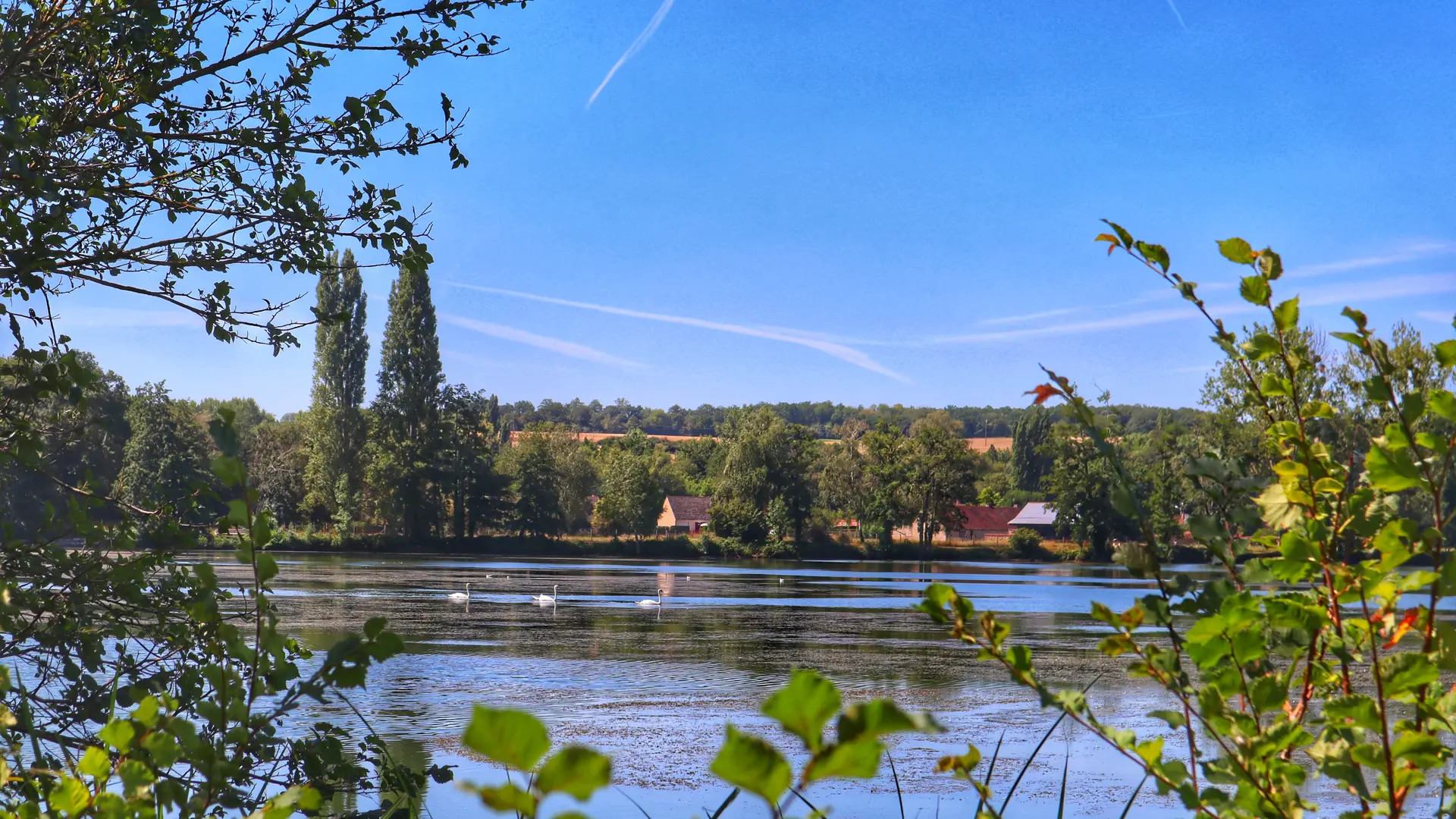 Lac d'Ecluzelle