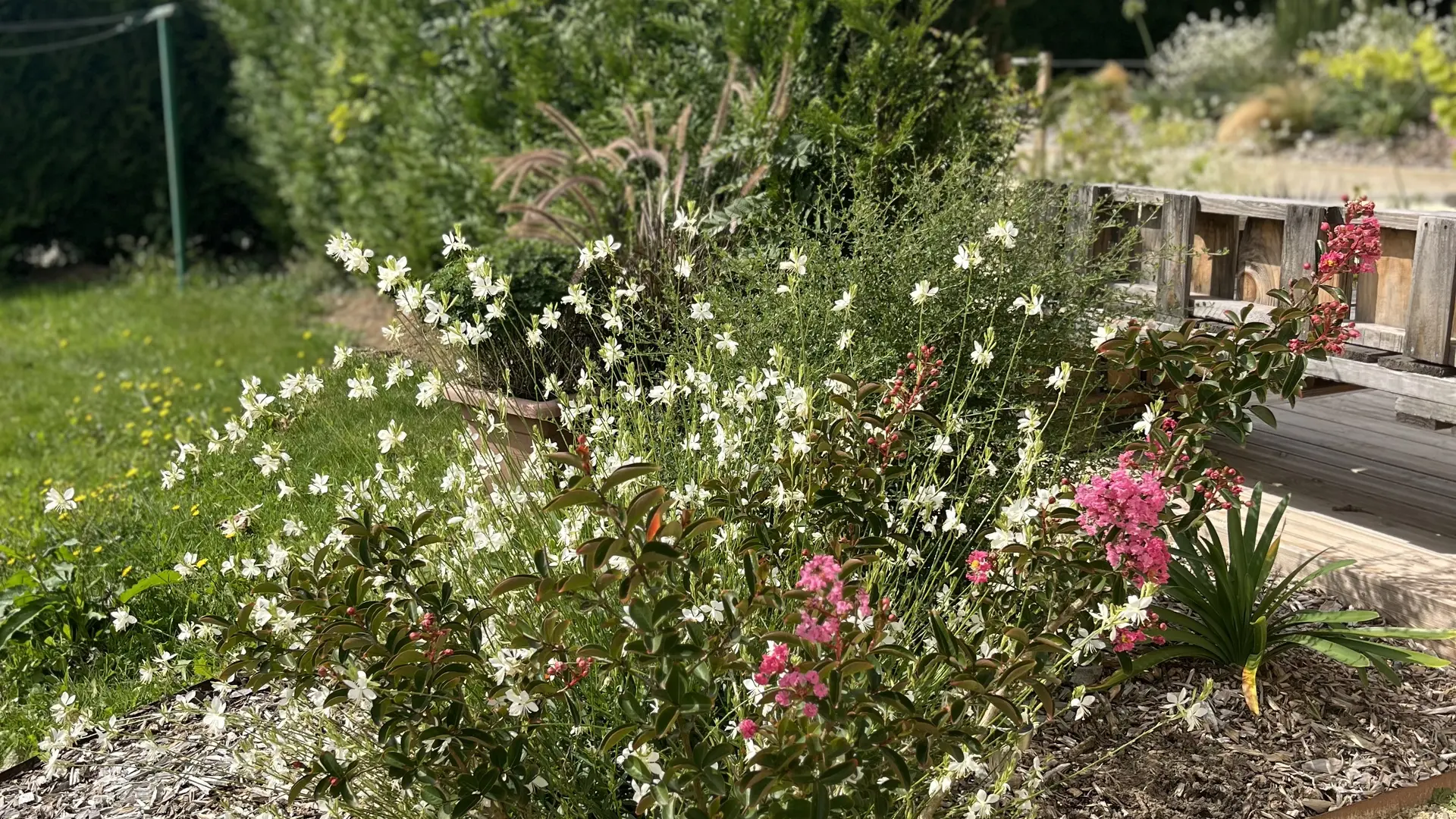 Jardin arboré dans le respect de l'écosystème