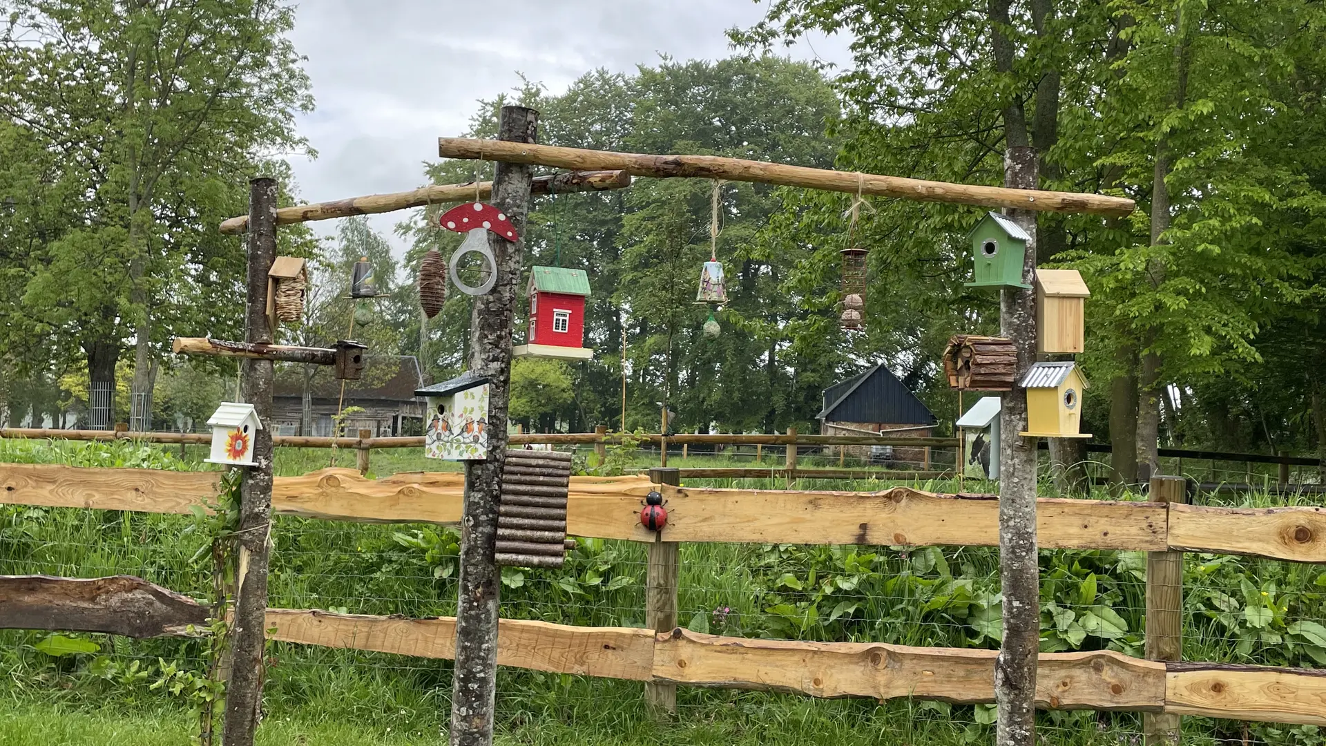 Le coin des oiseaux