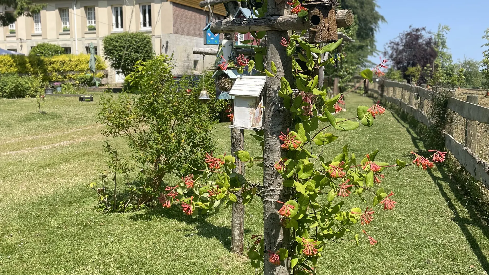 Le jardin