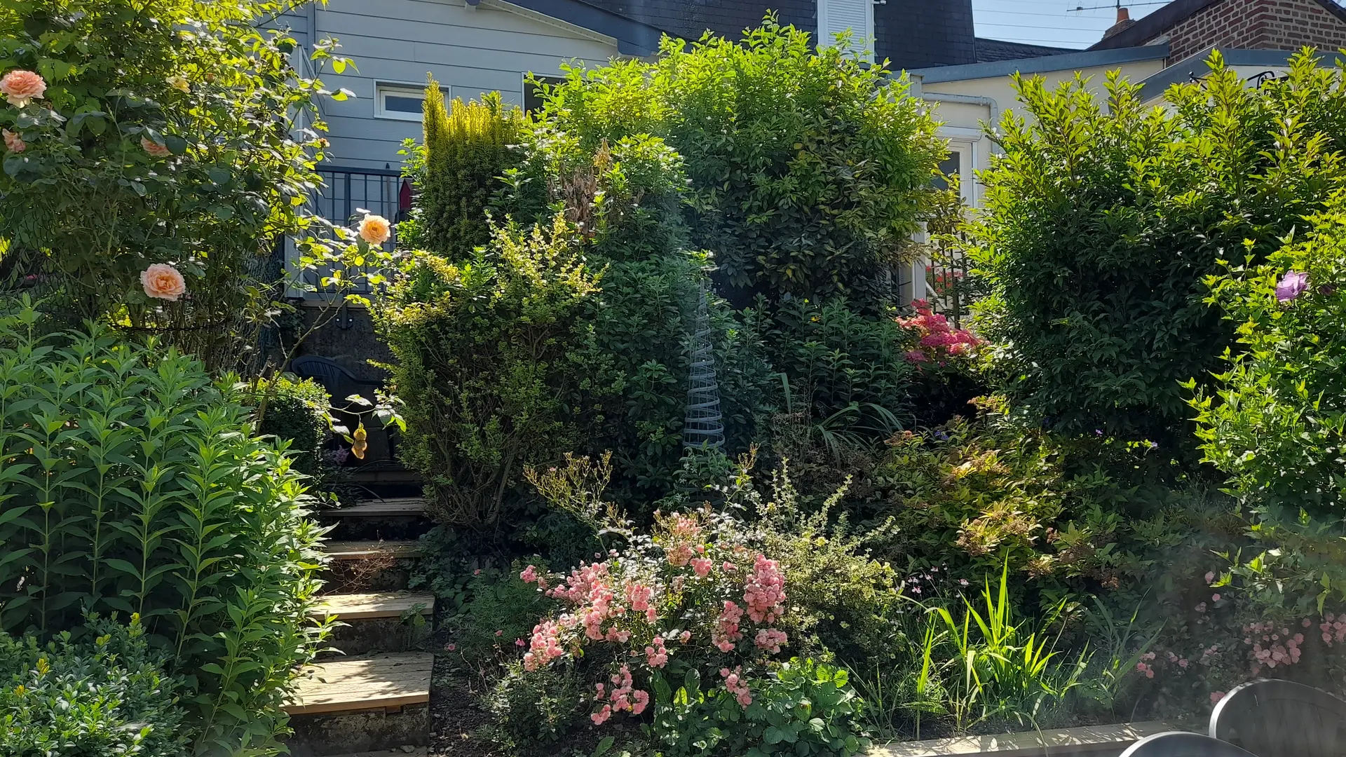 JARDIN