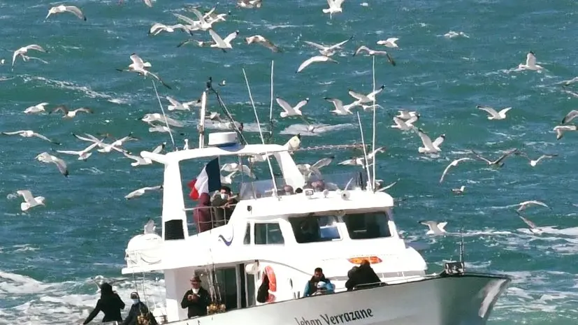 Retour de pêche du bateau Jehan Verazzane