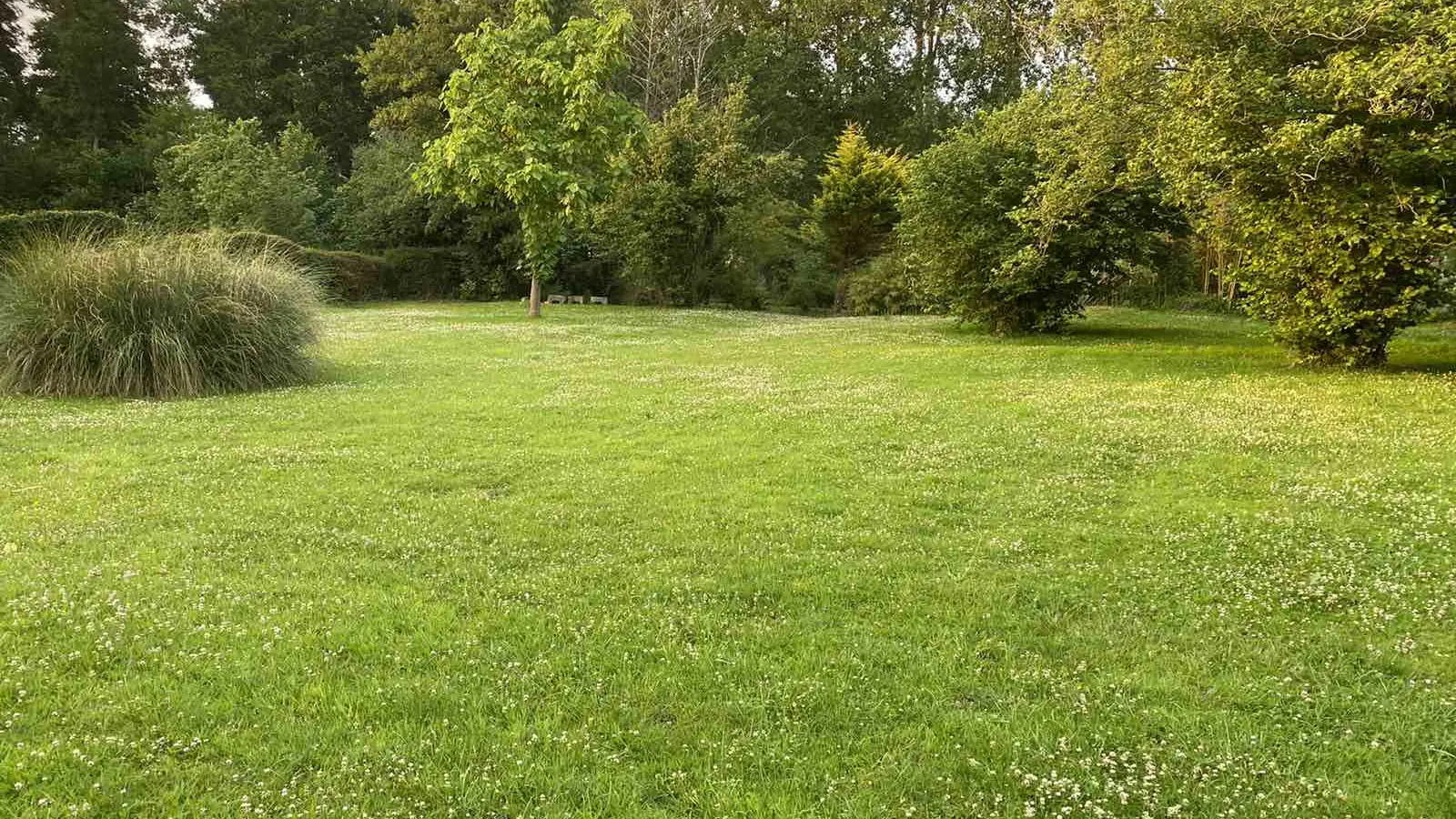 Jardin 1