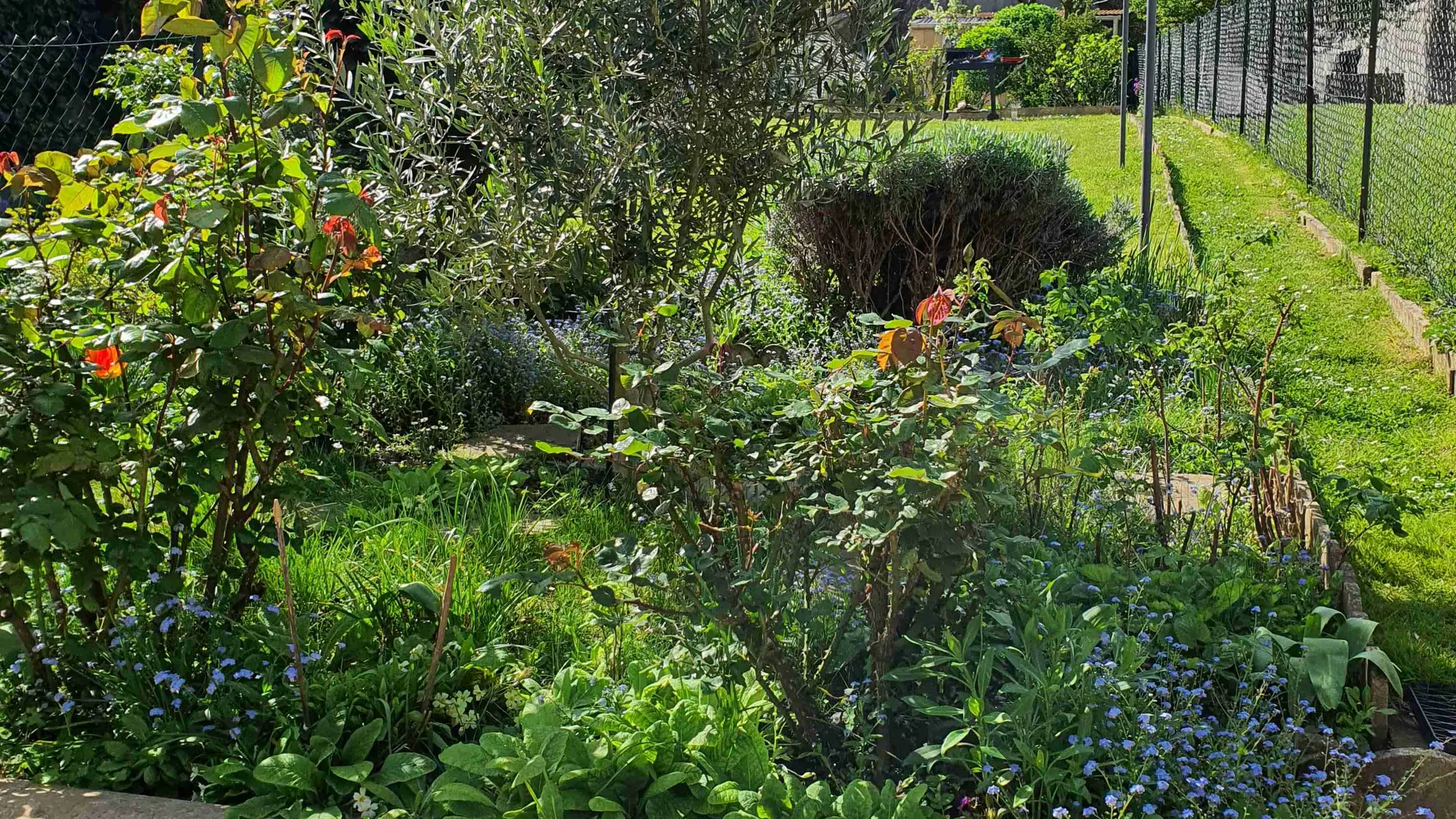 Jardin