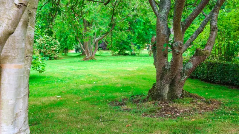 Jardin Potager du Château de Miromesnil - Tourville-sur-Arques