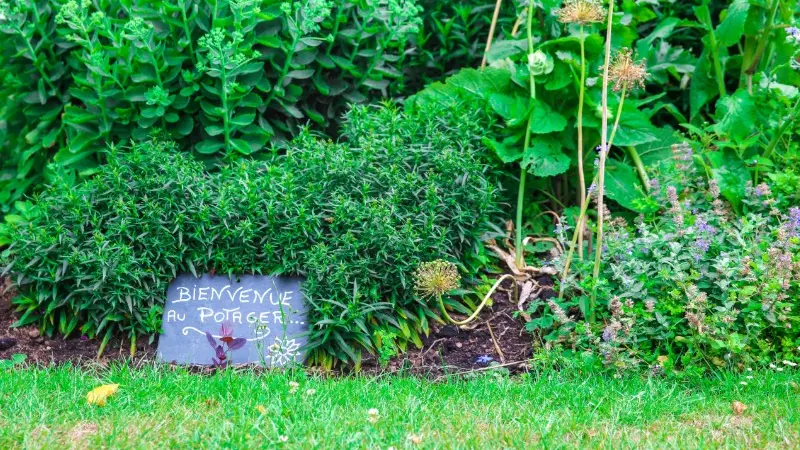 Jardin Potager du Château de Miromesnil - Tourville-sur-Arques