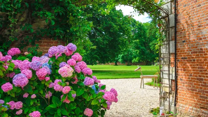 Jardin Potager du Château de Miromesnil - Tourville-sur-Arques