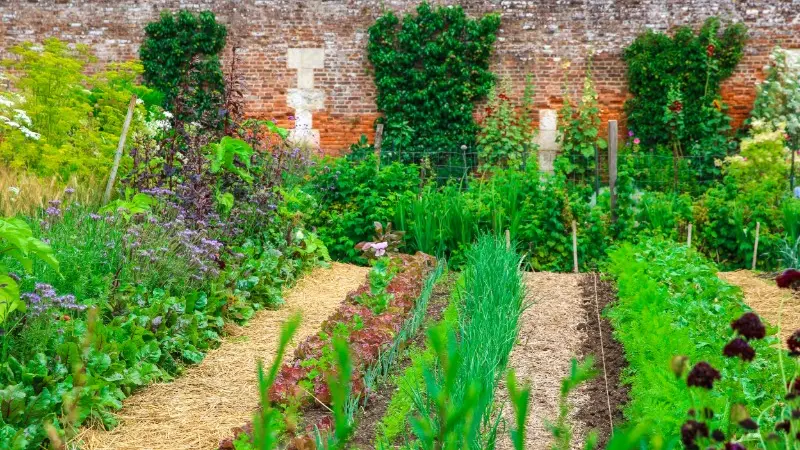 Jardin Potager du Château de Miromesnil - Tourville-sur-Arques