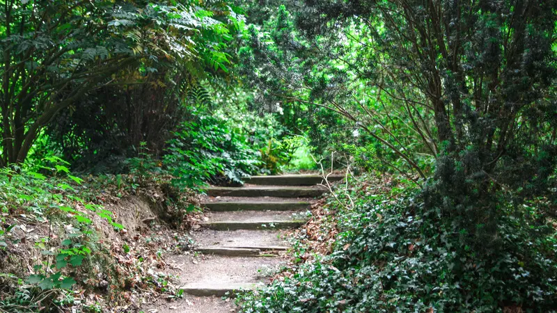 Les jardins de Bellevue - Beaumont-le-Hareng