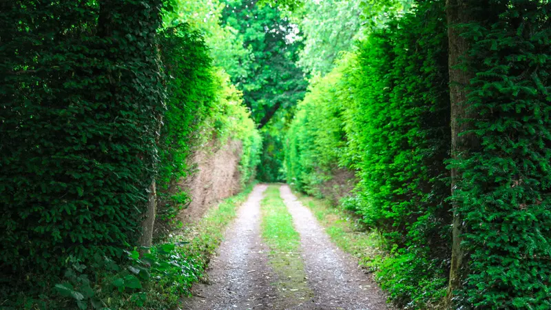 Les jardins de Bellevue - Beaumont-le-Hareng