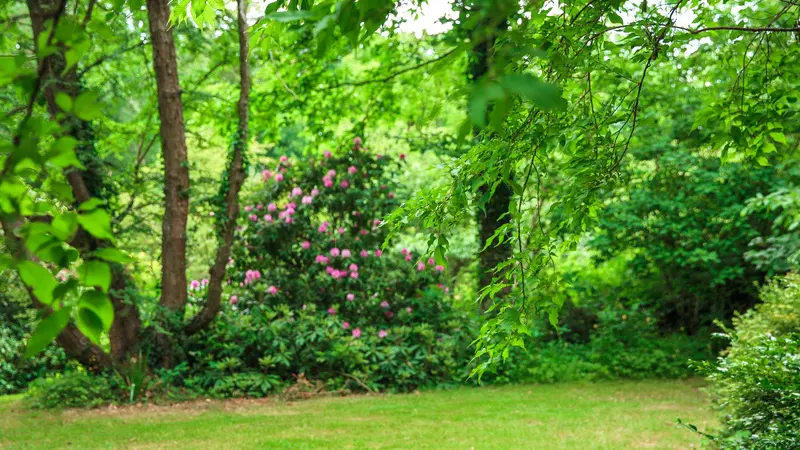 Les jardins de Bellevue - Beaumont-le-Hareng
