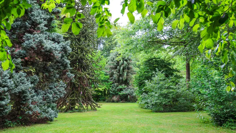 Jardin-de-Bellevue--SMT--M.Harel(2)