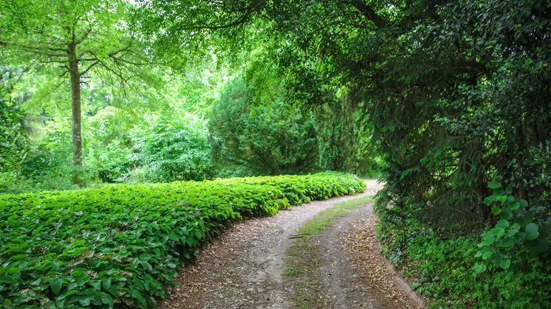 Les jardins de Bellevue - Beaumont-le-Hareng