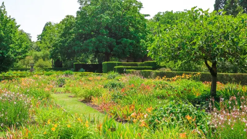 Jardin des Plantes - Rouen