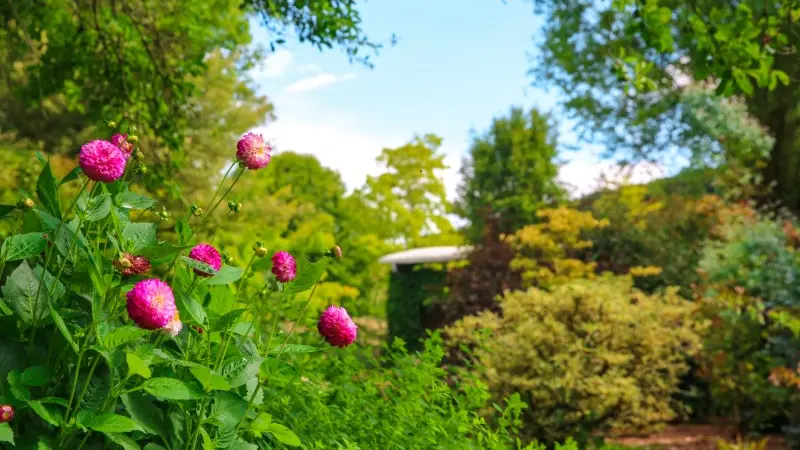 Jardin des Sources - Saint-Martin-le-Gaillard