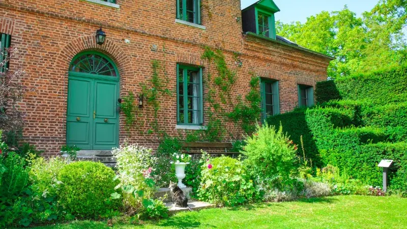 Lucy - Le jardin du crapaud à trois pattes