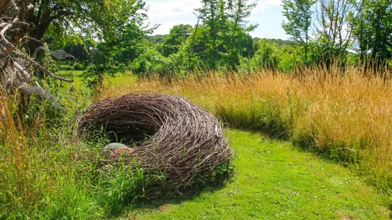 Lucy - Le jardin du crapaud à trois pattes