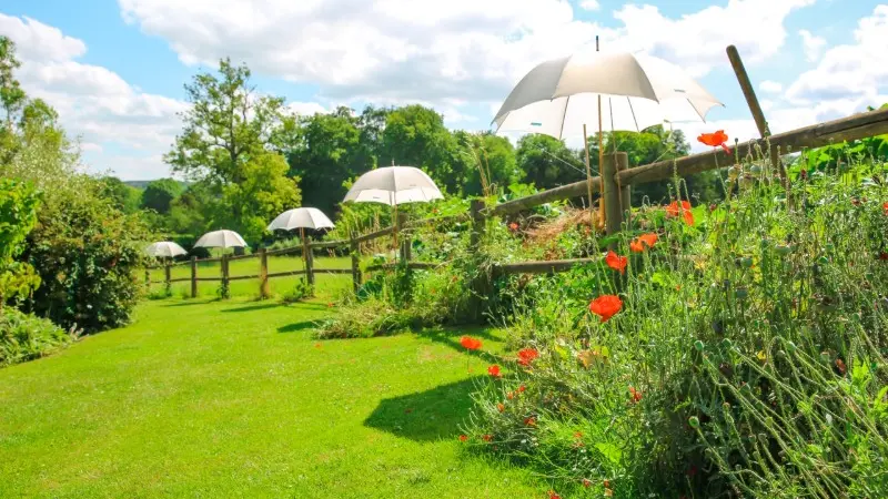 Lucy - Le jardin du crapaud à trois pattes