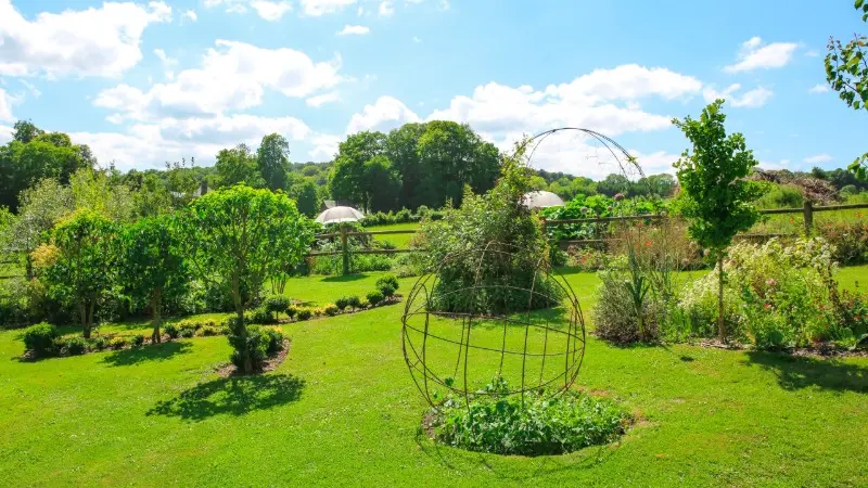 Lucy - Le jardin du crapaud à trois pattes