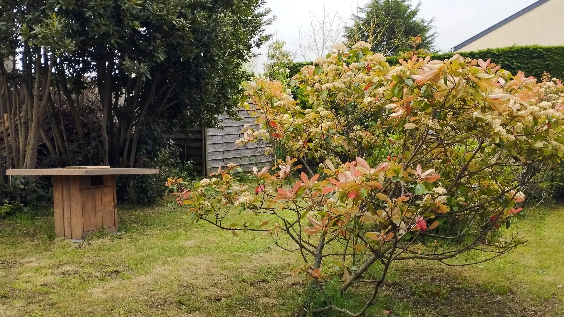 Jardin table à l'ombre