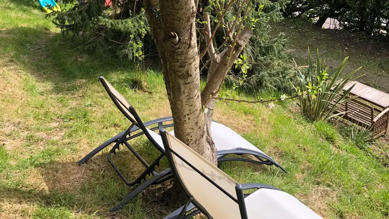 Jardin vu du chalet