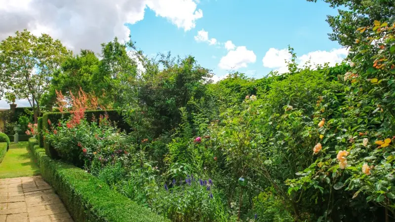 Montmain - Jardins d'Angélique