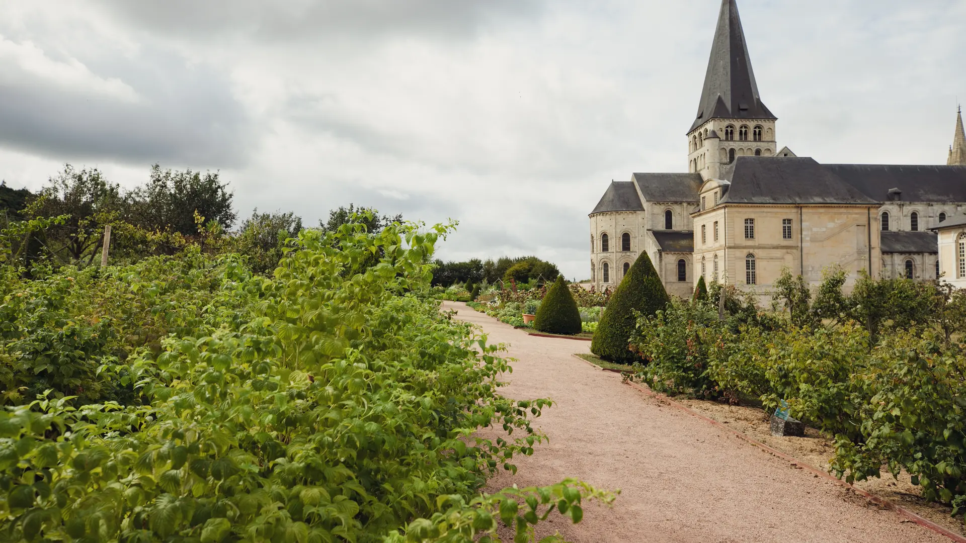 Jardins-de-labbaye-Saint-Georges