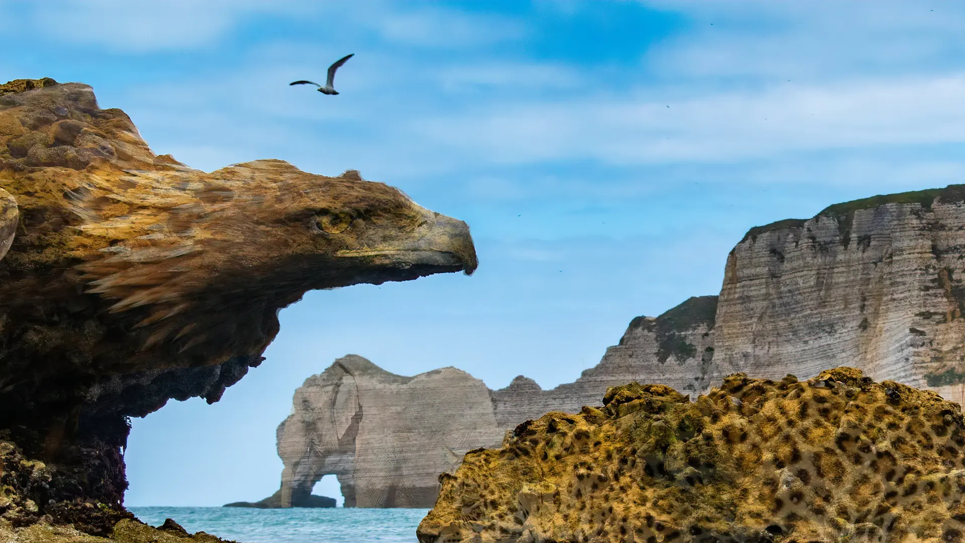 L'Heure Bleue Etretat