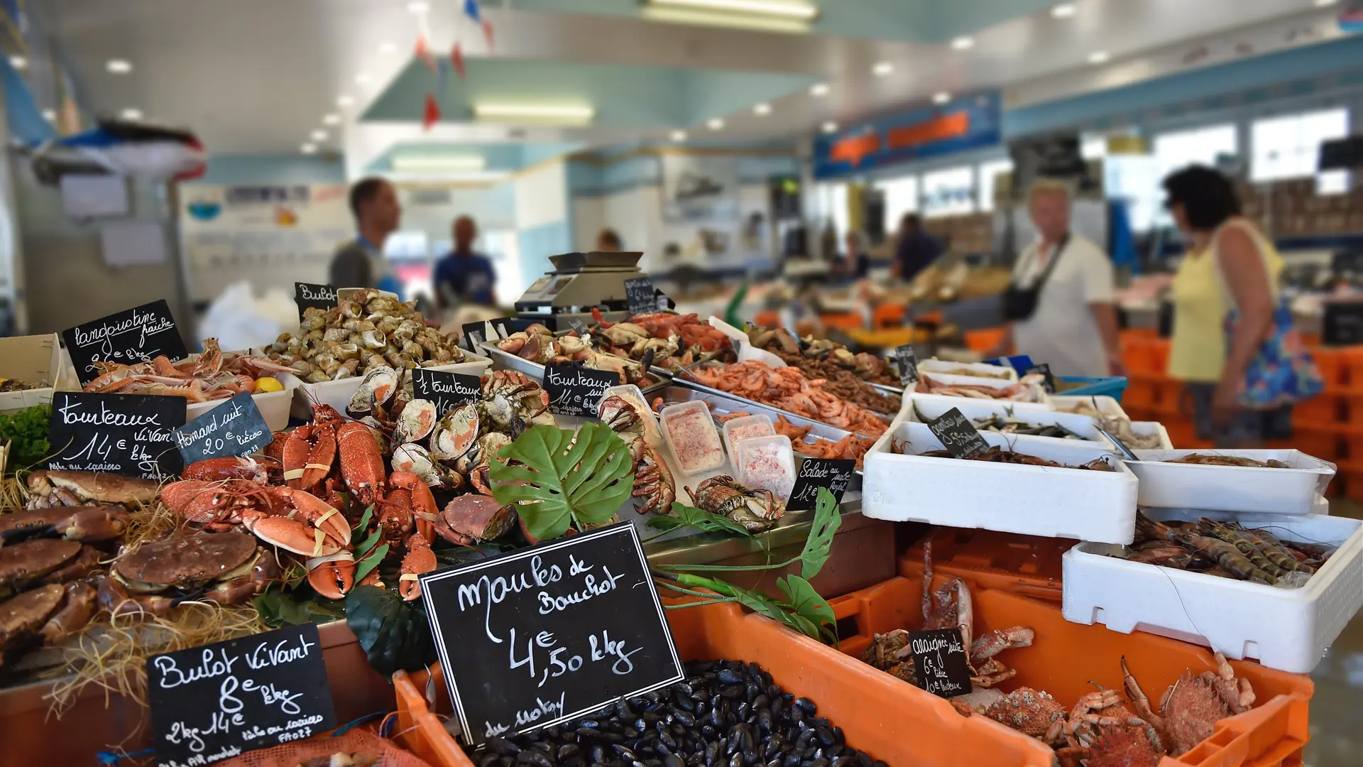 LE TREPORT_Poissonnerie municipale_004_V1