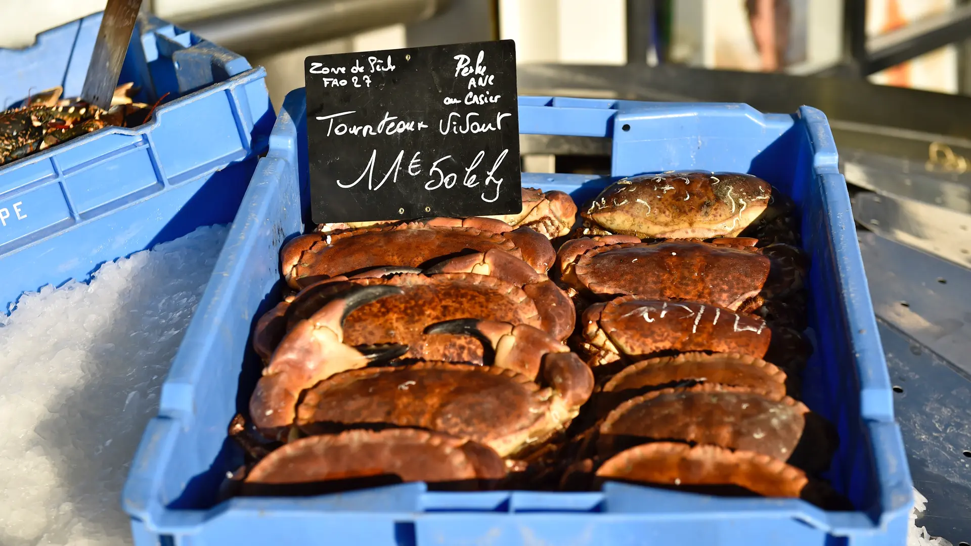 LE TREPORT_Poissonnerie municipale_007