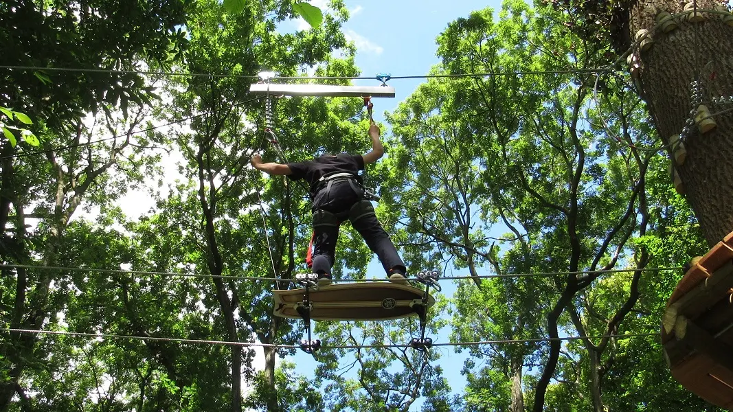 LOI_angiens_accrobranche aventure©dejax-2021_1576