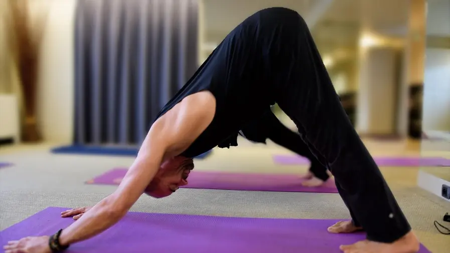 LOI_souffle albatre©marti-2025 (2)