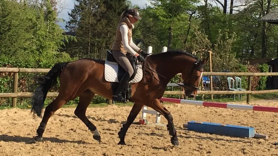 LOI_st-vaast-dieppedalle_haras-du-cedre©kassis-2020-2