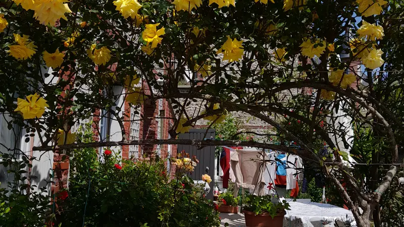 La Minouchette - Jardin