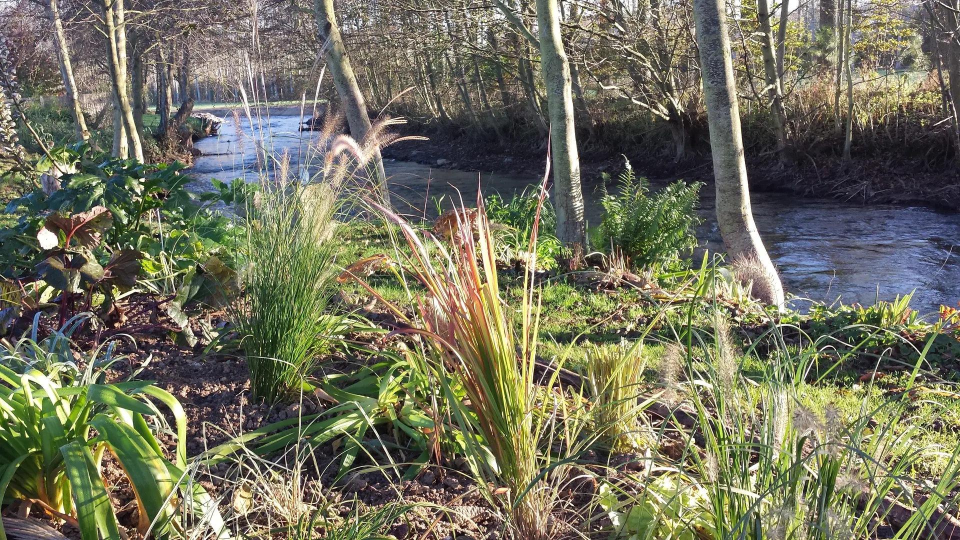 La Riv'Yères - CRIEL - Jardin - 2020