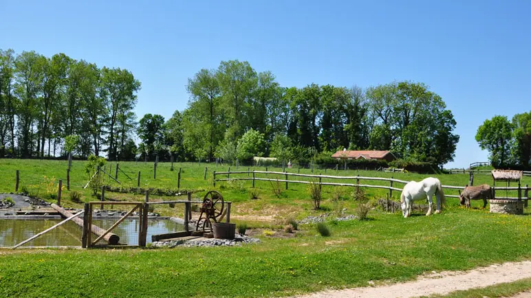 La-ferme-©Ferme-Pédagogique