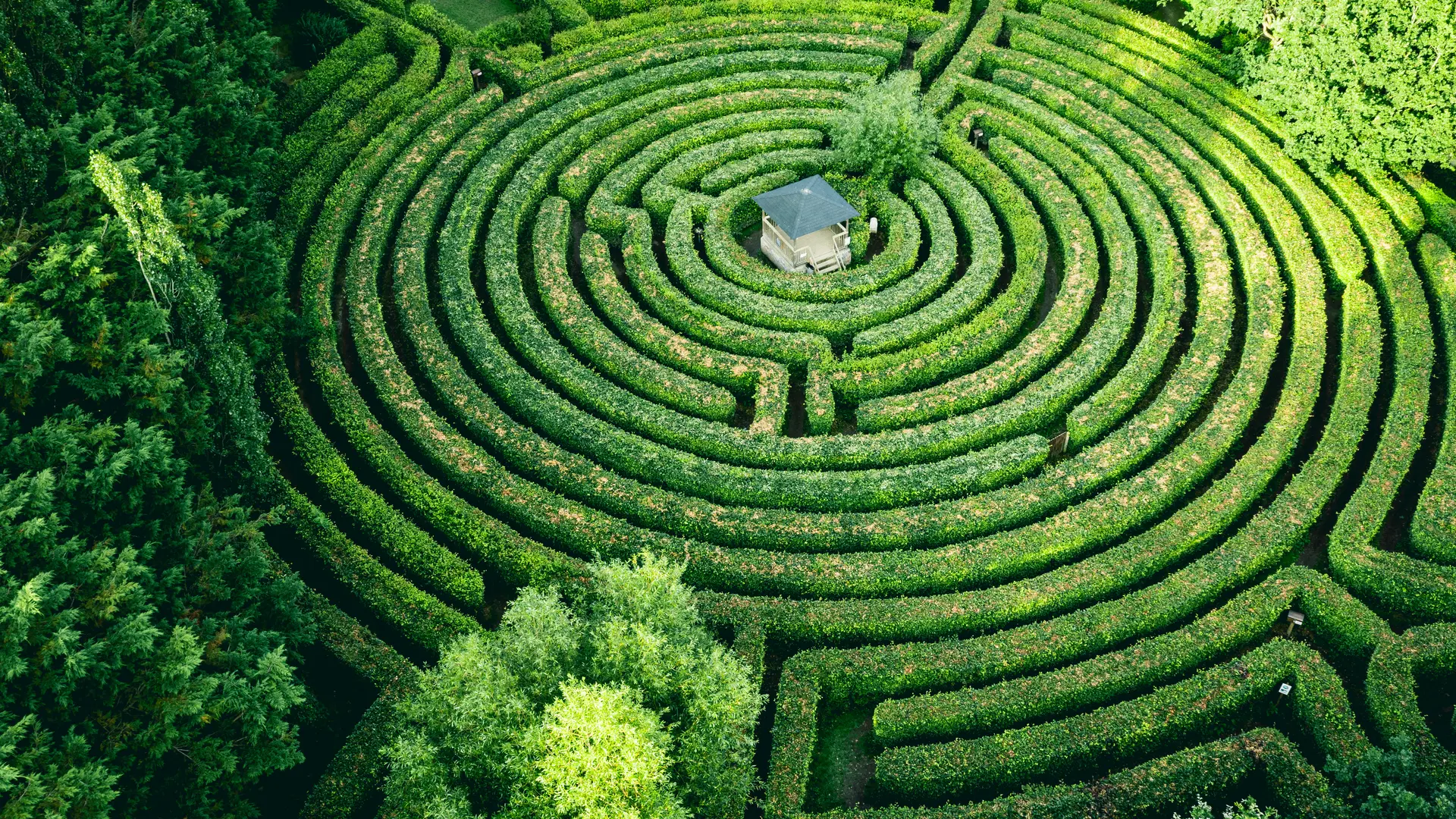 Labyrinthe-Artmazia-76_©aurelienpapa-05